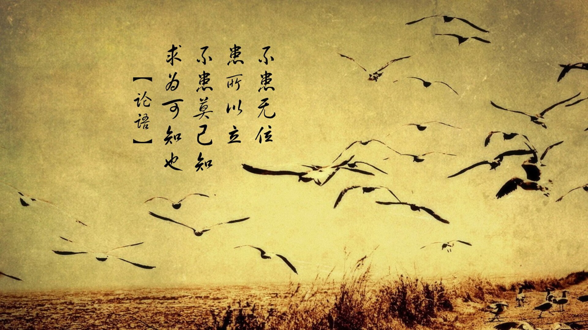 九游下载官网-世俱杯最燃瞬间:亚洲球队的逆袭佳话,世俱杯是什么水平 九游下载官网-世俱杯最燃瞬间:亚洲球队的逆袭佳话,世俱杯是什么水平