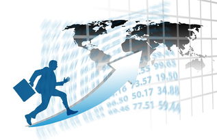 九游在线玩-中国篮球职业联赛赛事运营风险评估与管理对策，篮球赛事安全风险