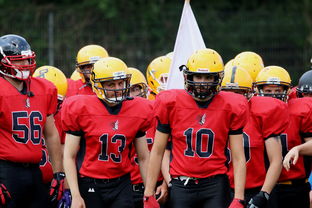 九游网游官网-中超球员年度射门类型结构分类，足球门将射门