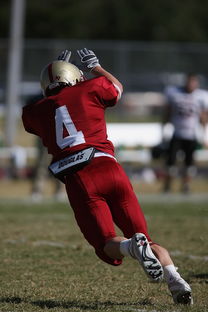 Jiuyou-五大联赛的魅力：不同国家球队的差异化风格，5大联赛球队综合实力排名