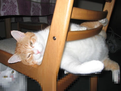 9游游戏官网-体操世锦赛中国男团实现三连冠，中国体操男团世锦赛夺冠!