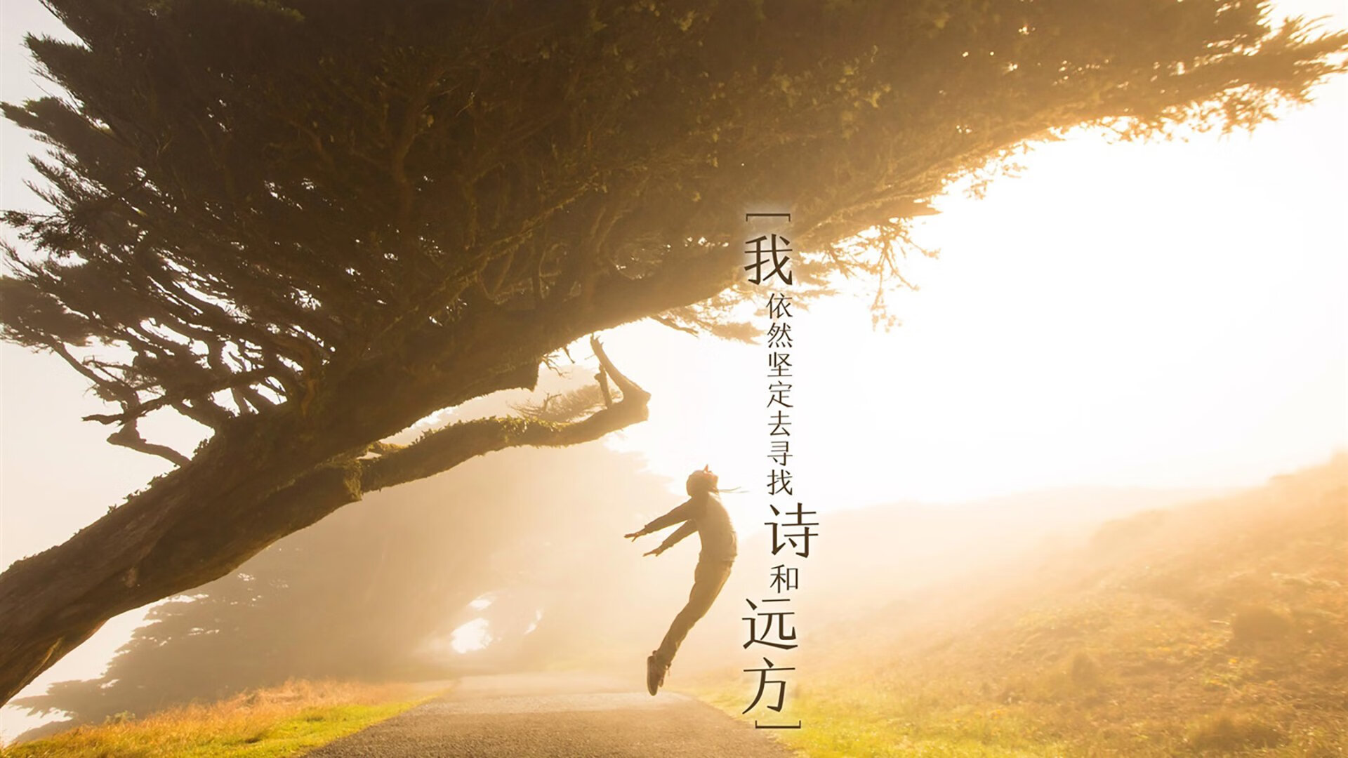 九游电脑版-体育场馆智能安全建设，体育场馆智能安全建设论文