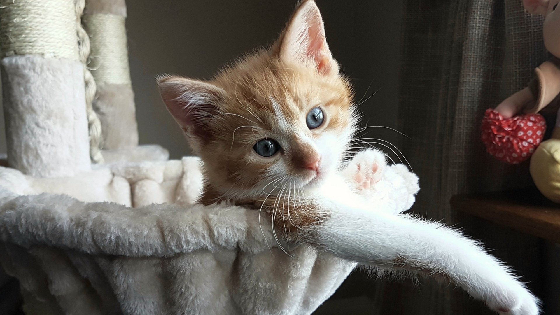 九游娱乐app下载-体育教学互动平台对学生学习动机的促进作用，体育平台活动