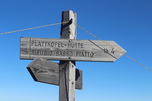 9游app-俱乐部品牌塑造：从传统到现代的转型之路，俱乐部产品特点