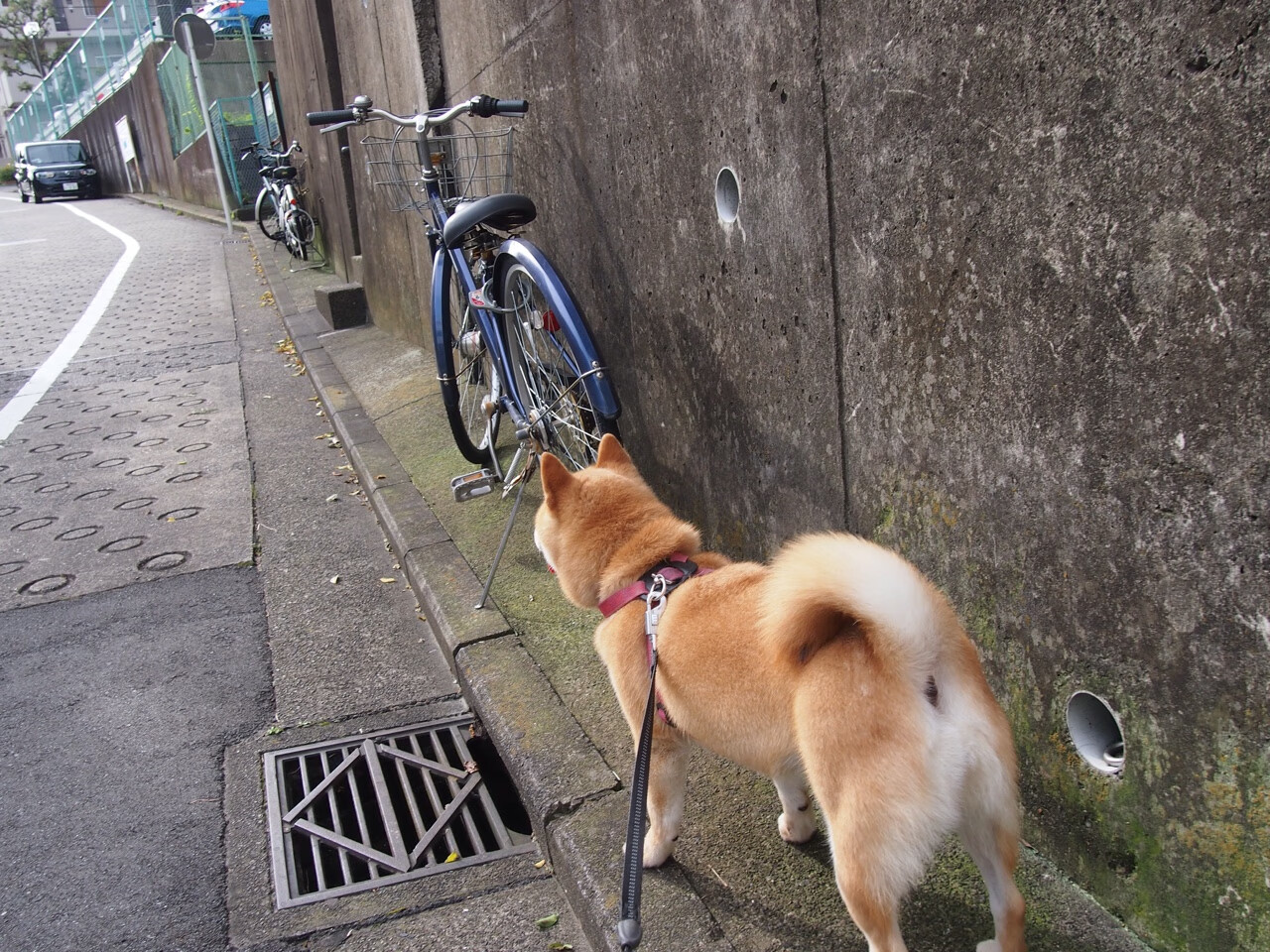 9游电竞站-全国田径大奖赛解放军队包揽冠军，全国田径比赛