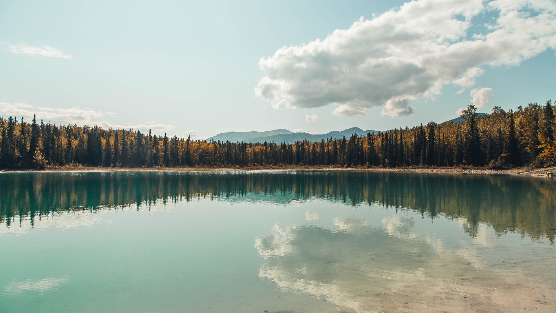 九游体育网站-国足对抗中断频率与得分节奏对应分析，中断的足球比赛多久出结果